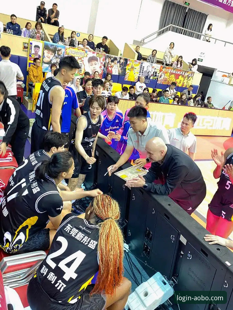 资深用户分享：从一场破纪录的WCBA总决赛，看顶级体育平台的沉浸式体验